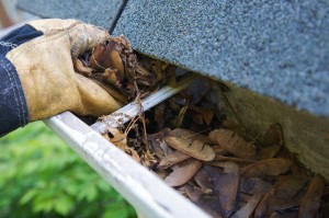 gutter cleaning