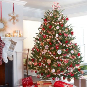 clean house and tree Jacksonville