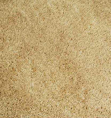 Jacksonville_Carpet_Cleaners