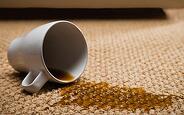 carpet cleaning service Jacksonville, FL