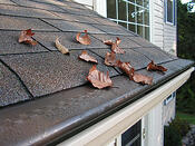 gutter cleaning Jacksonville, FL