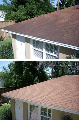 Black Streaks on My Roof