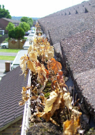 Hurricane Prep - Gutter Cleaning