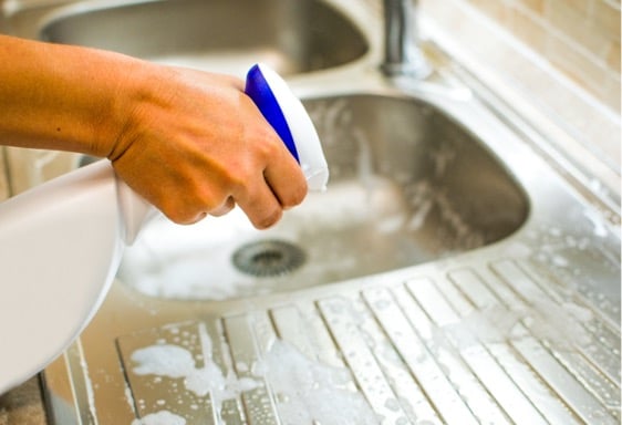 Cleaning sink with spray