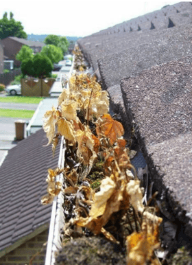 gutter cleaning