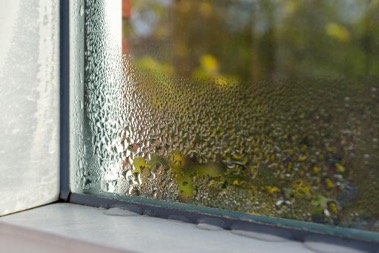 Window Condensation in Winter (Solutions) (2024)